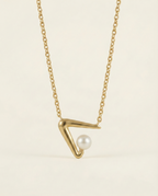 NIV KOLYE