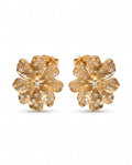 BLOOM KÜPE