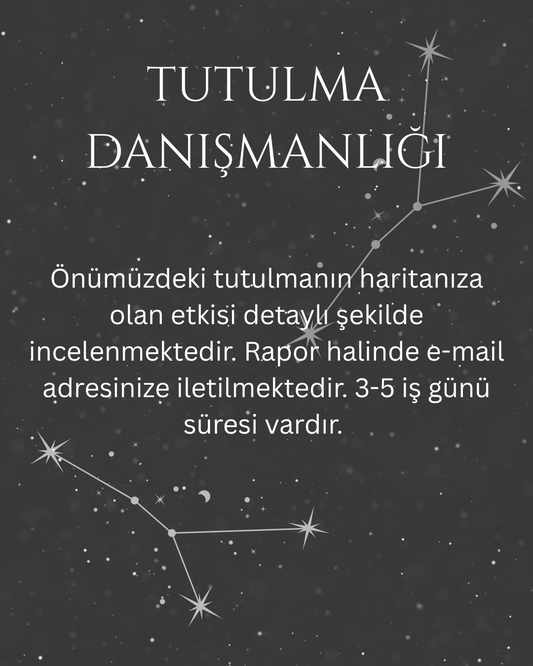 TUTULMA DANIŞMANLIĞI