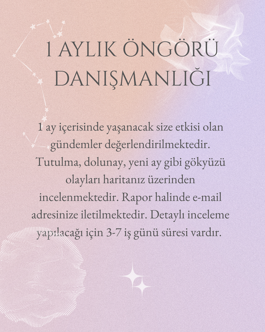 1 AYLIK ÖNGÖRÜ DANIŞMANLIĞI