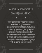 6 AYLIK ÖNGÖRÜ DANIŞMANLIĞI