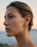 CHRYSAN KÜPE