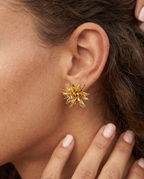 CHRYSAN KÜPE