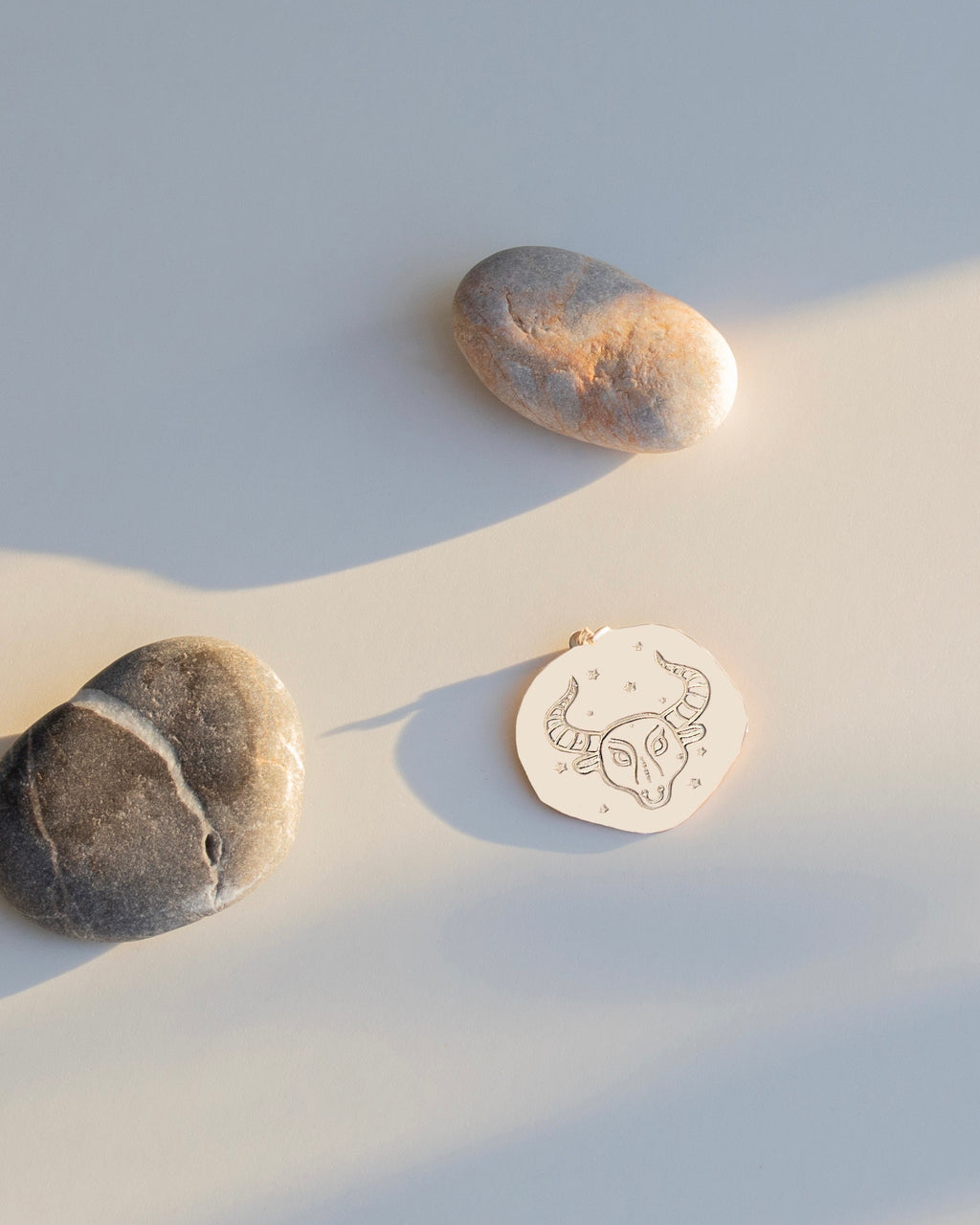 BOĞA BURÇ SEMBOL GÜMÜŞ KOLYE