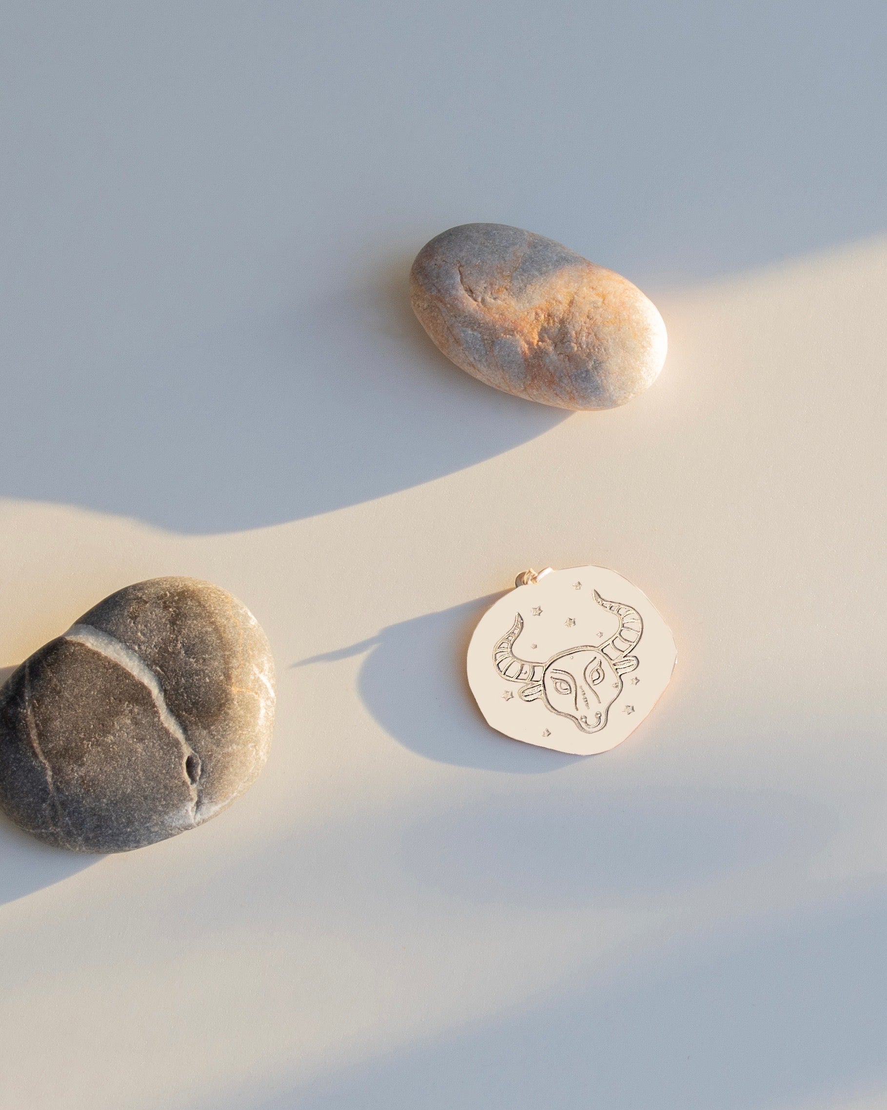 BOĞA BURÇ SEMBOL GÜMÜŞ KOLYE