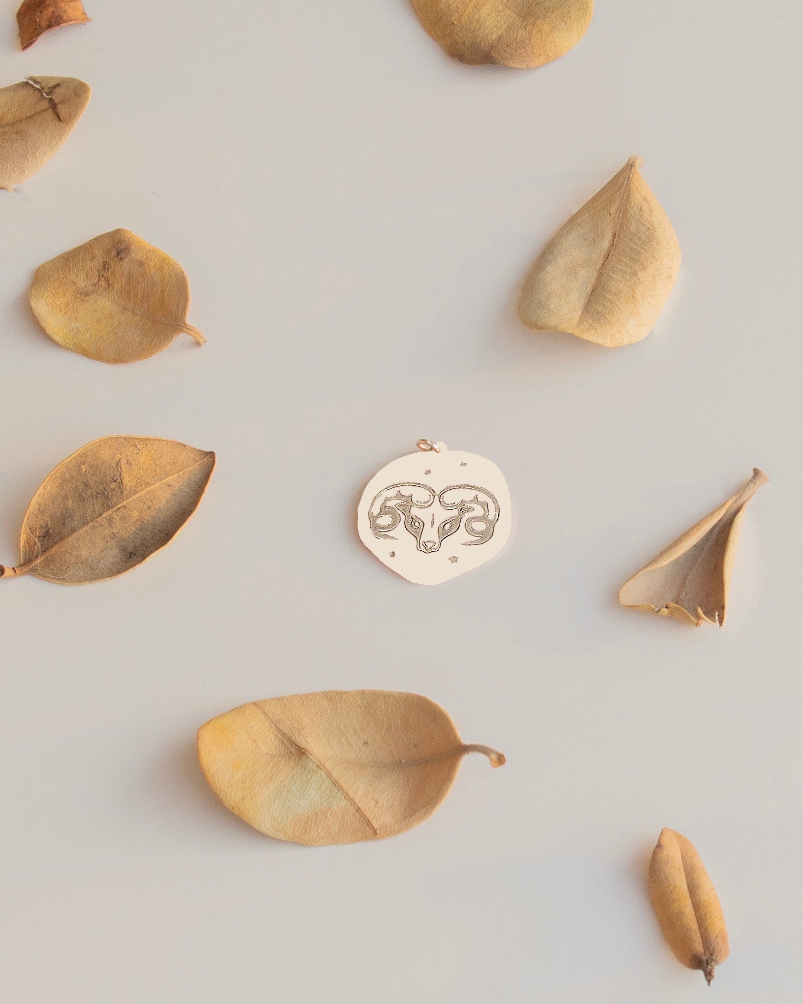 KOÇ BURÇ SEMBOL GÜMÜŞ KOLYE