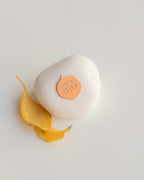 TERAZİ BURÇ SEMBOL GÜMÜŞ KOLYE