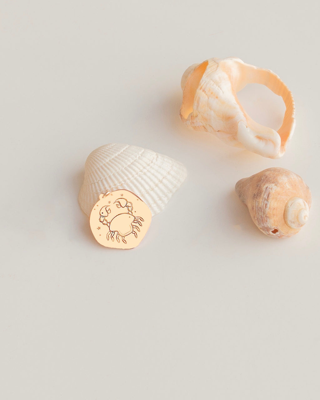 YENGEÇ BURÇ SEMBOL GÜMÜŞ KOLYE