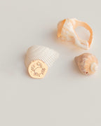 YENGEÇ BURÇ SEMBOL GÜMÜŞ KOLYE