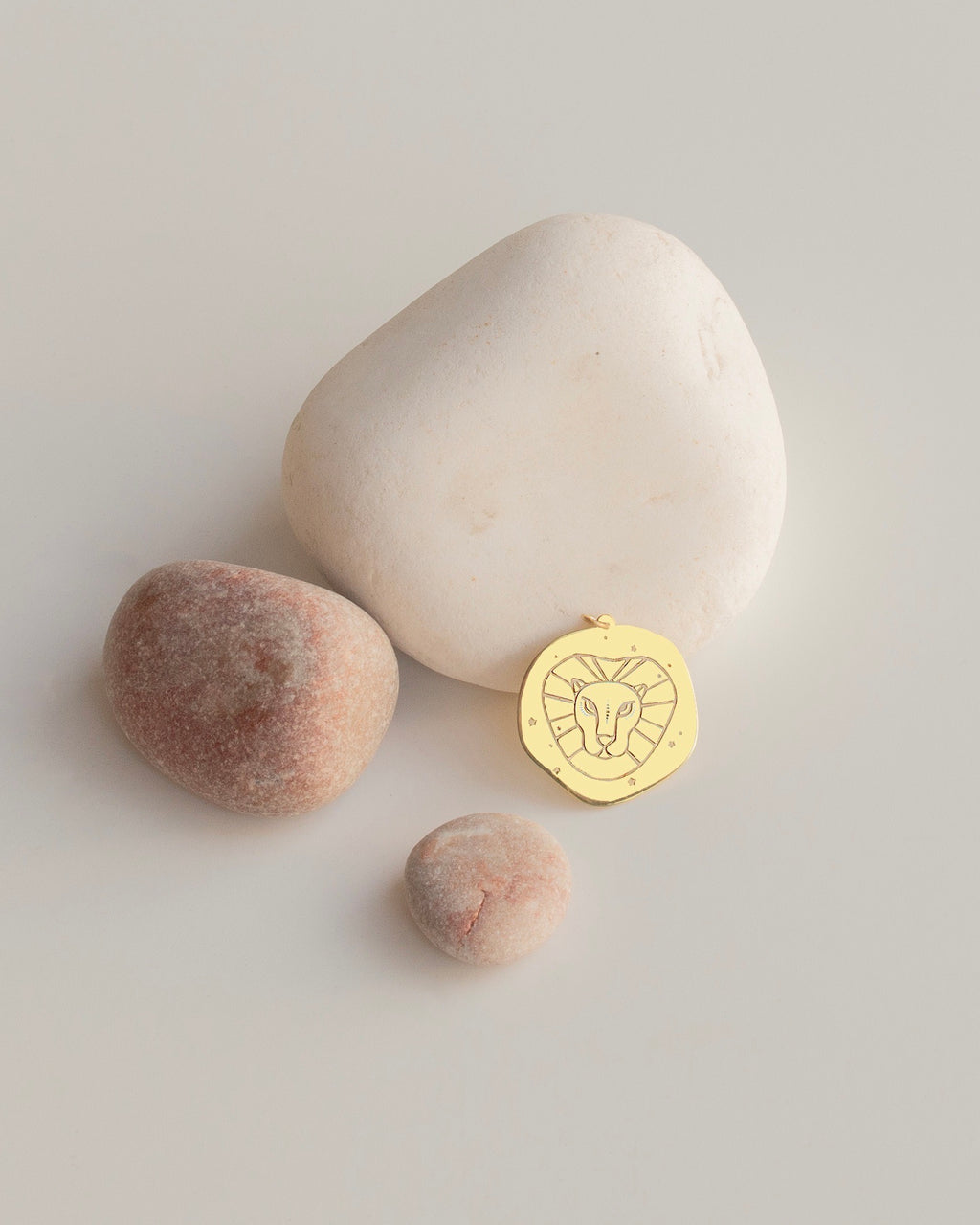 ASLAN BURÇ SEMBOL GÜMÜŞ KOLYE