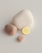 ASLAN BURÇ SEMBOL GÜMÜŞ KOLYE