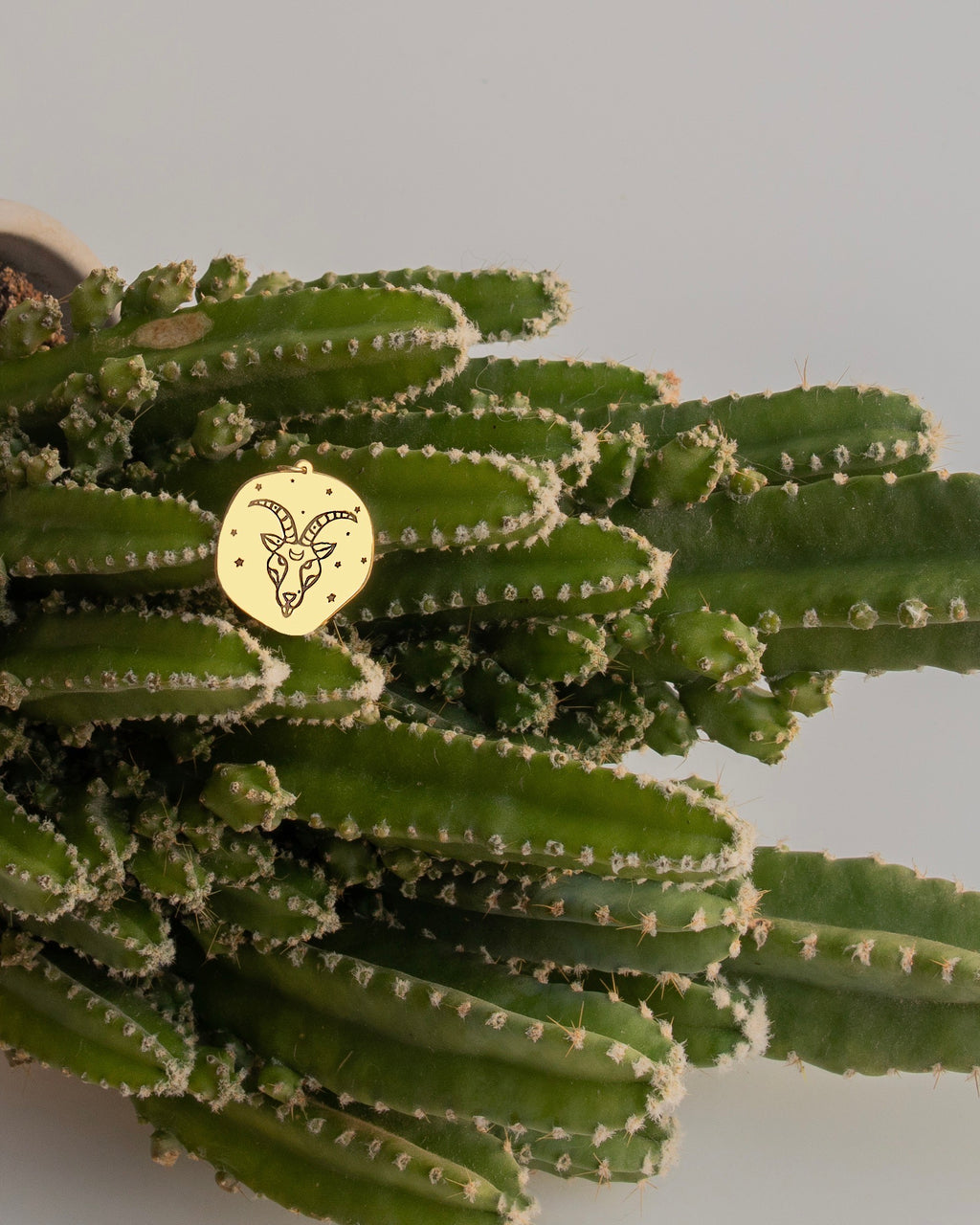 OĞLAK BURÇ SEMBOL GÜMÜŞ KOLYE