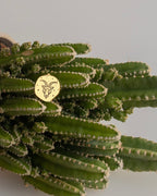 OĞLAK BURÇ SEMBOL GÜMÜŞ KOLYE