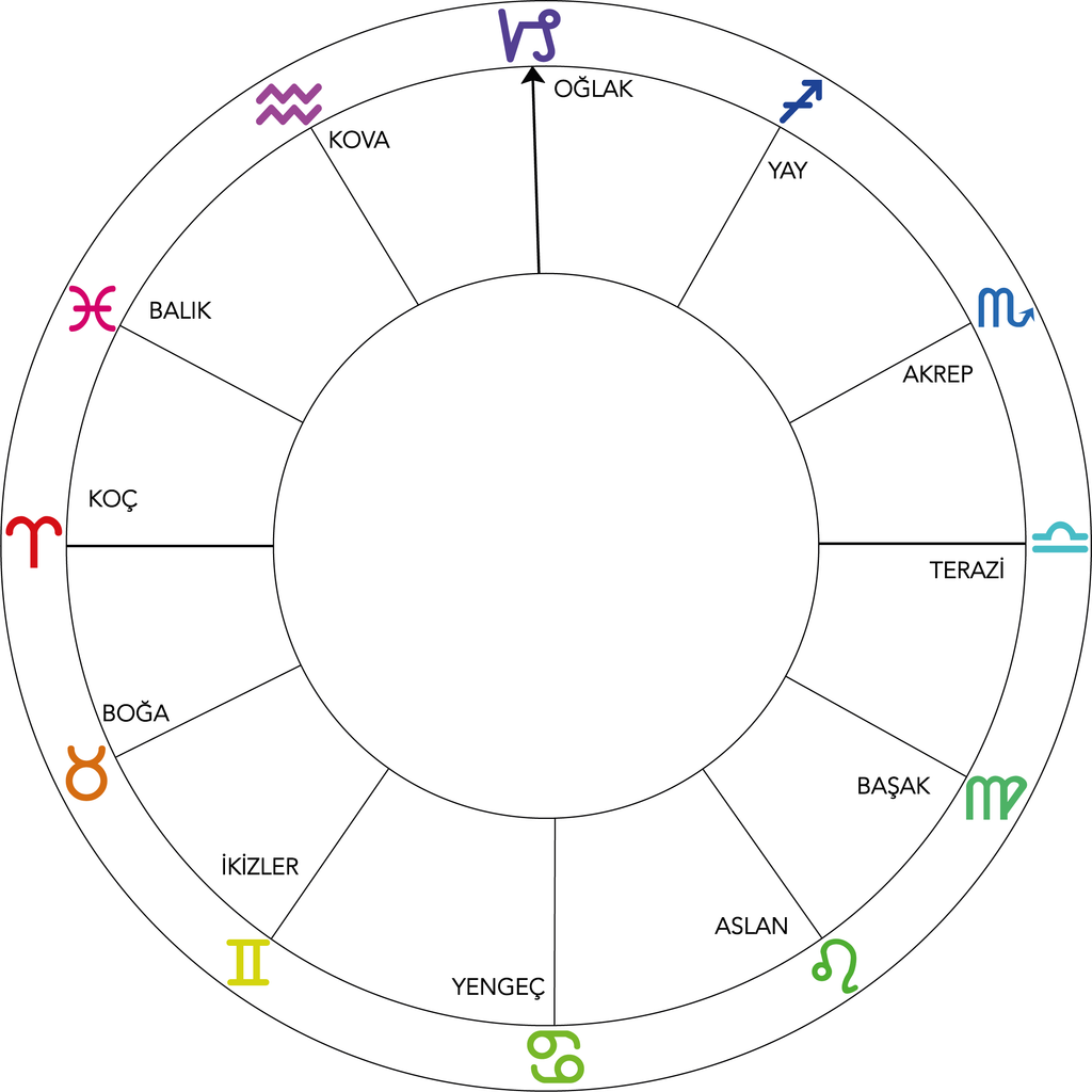 BURÇ SEMBOL GÜMÜŞ KOLYE